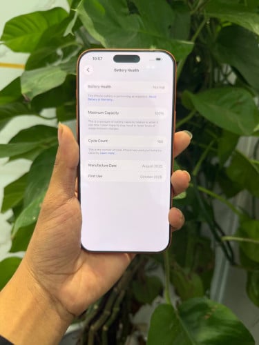 iPhone 17 pro max សំណុំហ្សុីន