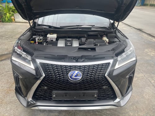 Lexus Rx450h 2018 F-Sport Full Options ទឹកថ្នាំស្សុីន មួយជុំ