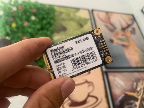 M.2 SATA 256GB