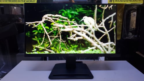 Monitor MSI Pro MP223 E2 22 inch FHD IPS 100Hz មួយទឹកស្អាតៗ