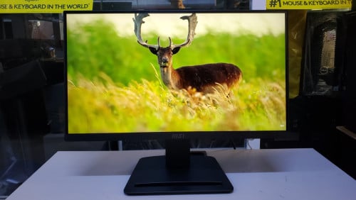 Monitor MSI Pro MP223 E2 22 inch FHD IPS 100Hz មួយទឹកស្អាតៗ