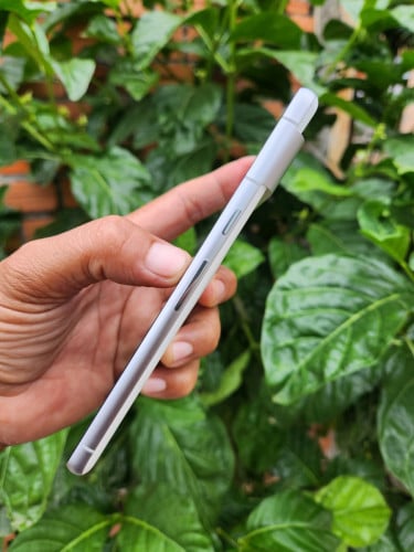 Pixel7 8g/128g_USA(វៃដូរបាន)👉$210