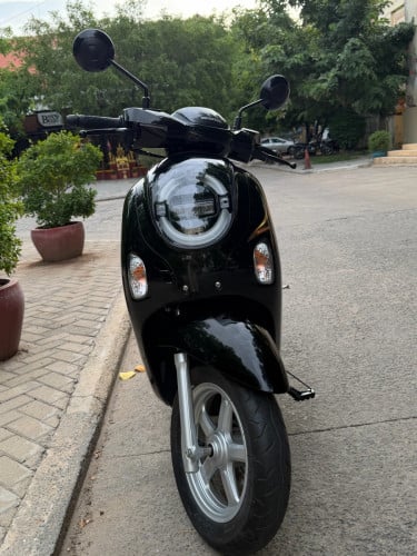 Scoopy 025