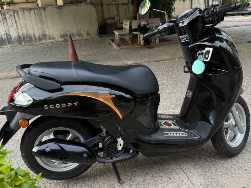 Scoopy 025