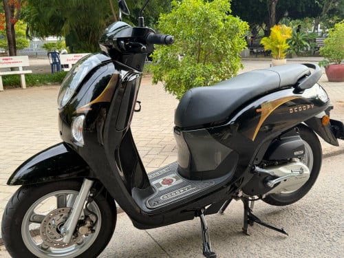 Scoopy 025