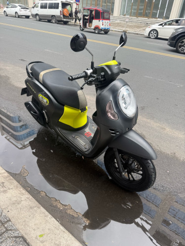 Scoopyi