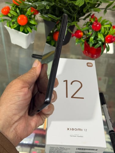 XIaomI  12- 256g12G 99%