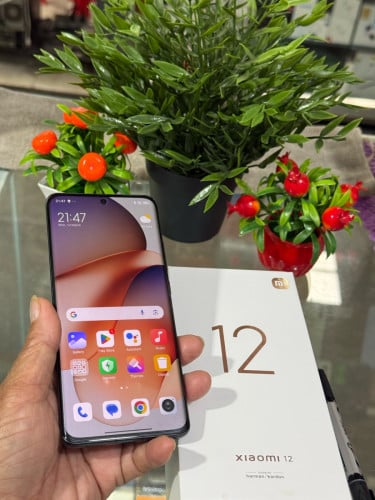 XIaomI  12- 256g12G 99%