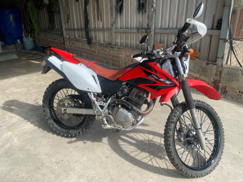 XR 230 2009