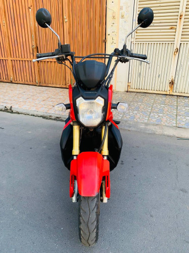 ZOOMER (620$) Japan 2016 110cc
