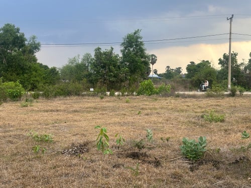 ដីលំនៅដ្ឋាន