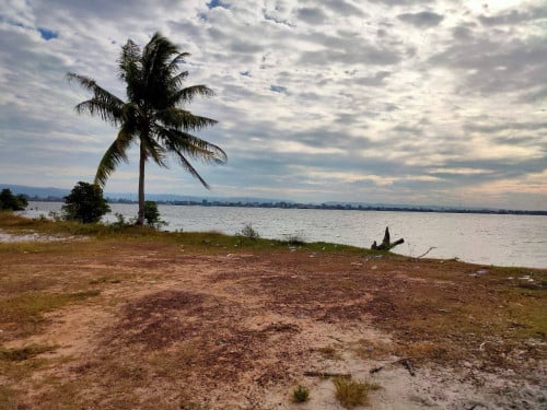 ដីរីសត ជាប់ដៃសមុទ្រកោះកុង