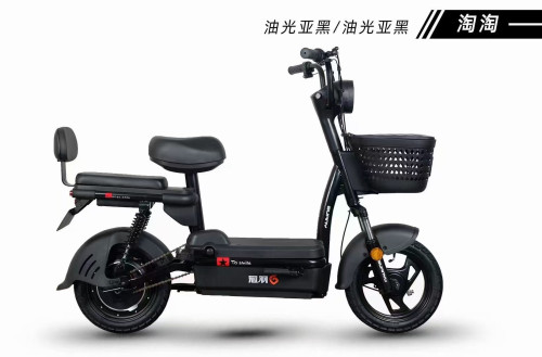 全新电动车
