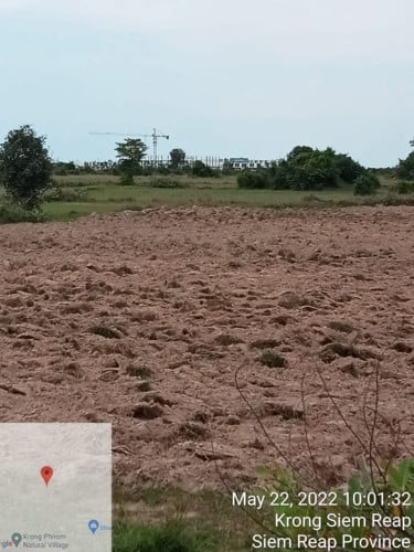 ដីកសិកម្មលក់