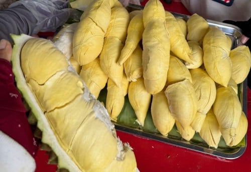 ធូរ៉េនម៉ាន់ថង មកពីកំពង់ចាម ( 1kg =23000) បកសាច់សិត ( 1Kg= 60000 )