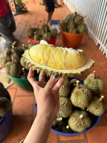 ធូរ៉េនម៉ាន់ថង មកពីកំពង់ចាម ( 1kg =23000) បកសាច់សិត ( 1Kg= 60000 )