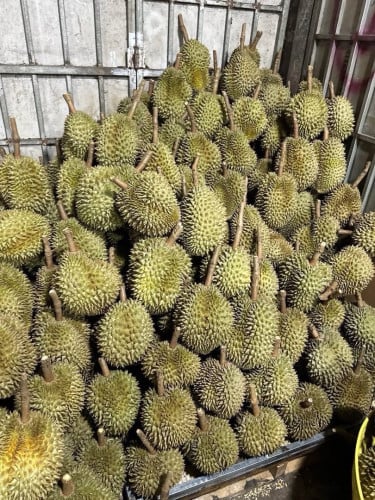 ធូរ៉េនម៉ាន់ថង មកពីកំពង់ចាម ( 1kg =23000) បកសាច់សិត ( 1Kg= 60000 )