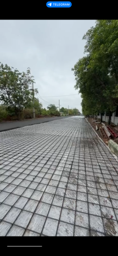 ដីកាំងម៉េងលក់តម្លៃល្អ