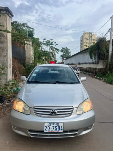 លក់ប្រញាប់ុយ