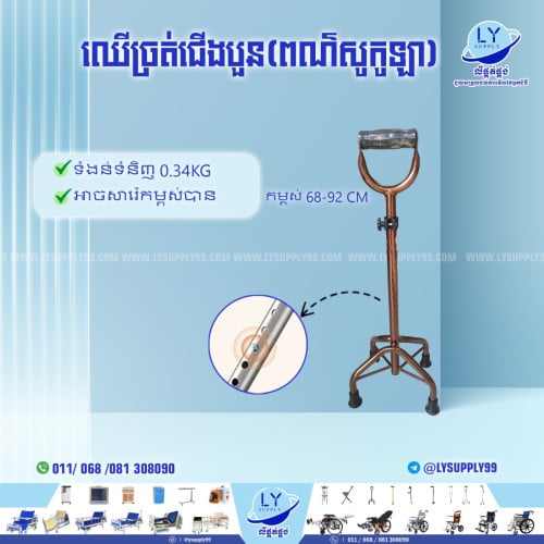 ឈើច្រត់ជើងបួន(ពណ៌សូកូឡា)