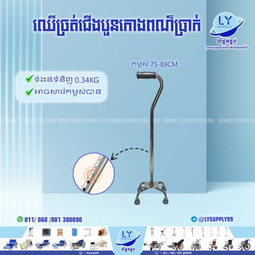 ឈើច្រត់ជើងបួនពណ៌ប្រាក់