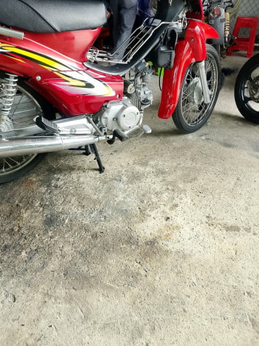 វេវស្វីត