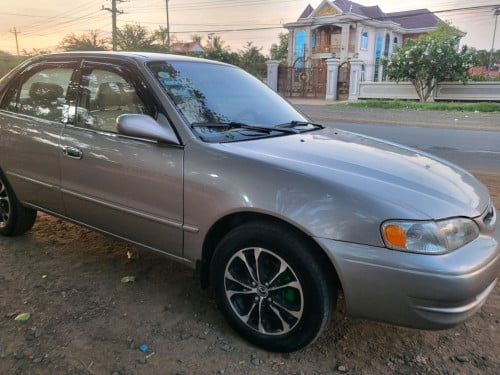 លក់កូរូឡា 98 ពណ៌ទឹកមាស ឡានស្អាតអ្នកជិះផ្ទាល់