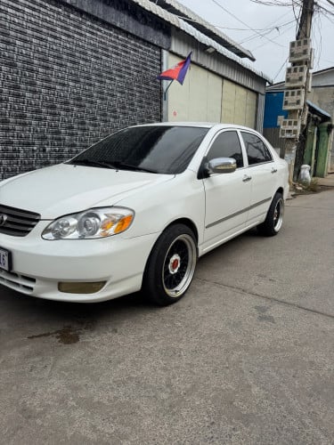 លក់ corolla 2003 le ក្នុងលឿង
