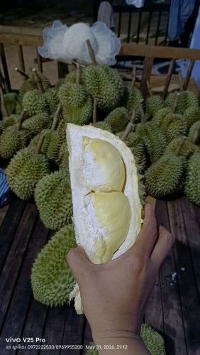 ម៉ាន់ថងបែកអន្លូង លំដាប់ថ្នាក់ Premium! ធានាសាច់ម៉ដ្តខៃ ផ្អែមឈ្ងុយខ្ទិះ មិនល្អមិនយកលុយ!