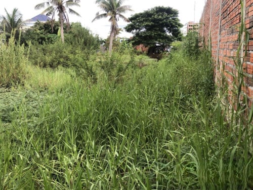 🏠 អចលនទ្រព្យ លក់ឡាយឡុង (Auctioned Properties) 🏷