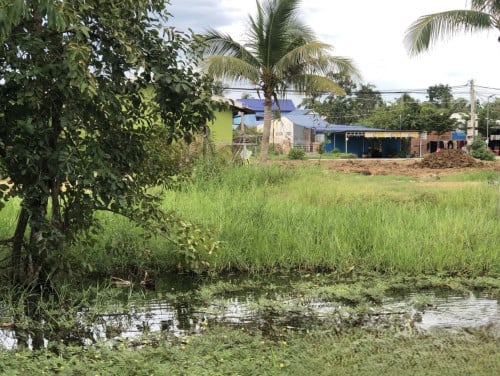 🏠 អចលនទ្រព្យ លក់ឡាយឡុង (Auctioned Properties) 🏷