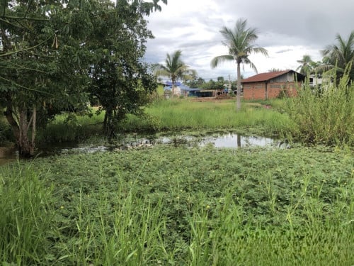 🏠 អចលនទ្រព្យ លក់ឡាយឡុង (Auctioned Properties) 🏷