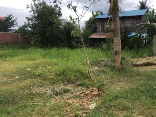 🏠 អចលនទ្រព្យ លក់ឡាយឡុង (Auctioned Properties) 🏷