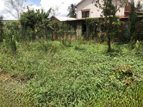 🏠 អចលនទ្រព្យ លក់ឡាយឡុង (Auctioned Properties) 🏷
