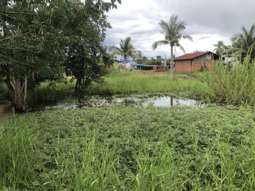 🏠 អចលនទ្រព្យ លក់ឡាយឡុង (Auctioned Properties) 🏷