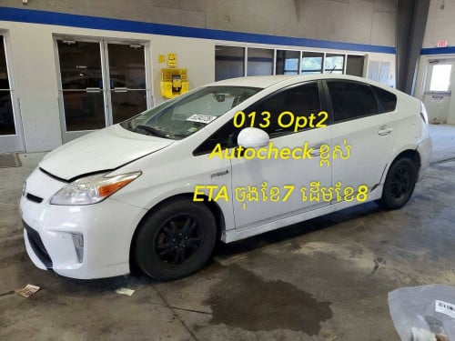 013 Opt2 AutoCheck កប់
