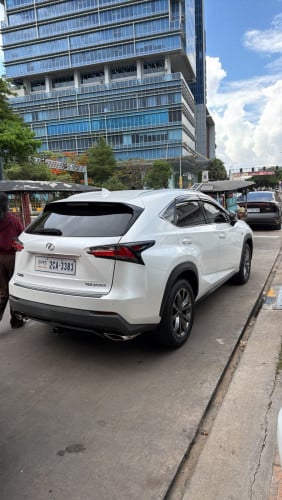 2015 Fsport  ថ្នាំសុីន  100%