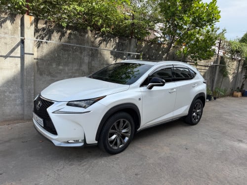 2015 Fsport  ថ្នាំសុីន  100%