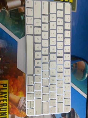 Apple Magic Mouse and Keyboard