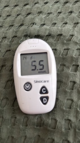Blood Glucose Meter