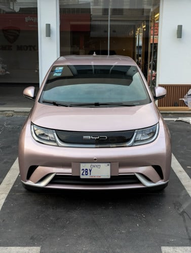 BYD DOLPHINS