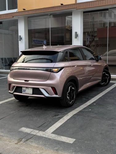 BYD DOLPHINS