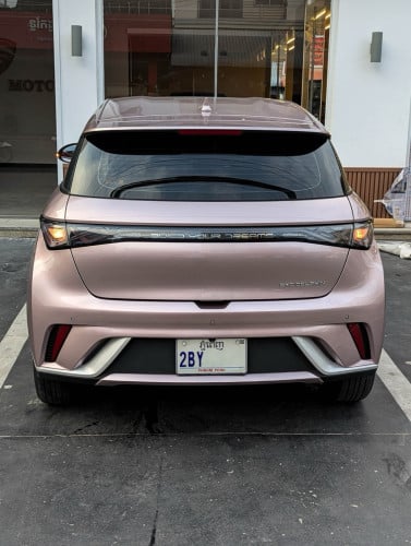 BYD DOLPHINS