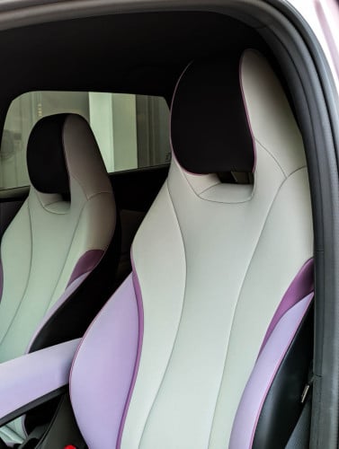 BYD DOLPHINS
