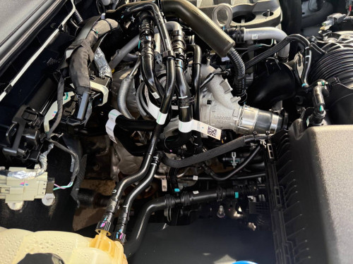 Ford Everest Titanuim 2024