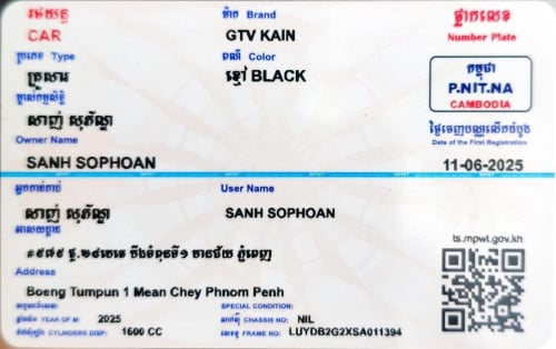 GTV GAIN OPTION 4 (ស្វាយក្រម៉ៅ)