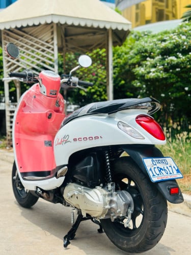 HONDA SCOOPY 015 ម៉ាសុីនតាន់ហាប់នែនជិះស្រួលមិនលាន់មិនហុយមានពន្ធកាតគ្រឺហ្សីន