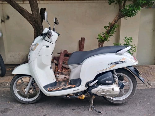 Honda scoopy