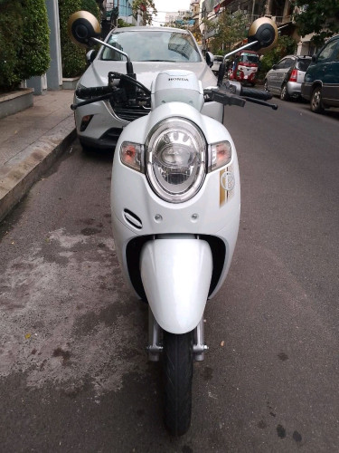 Honda scoopy