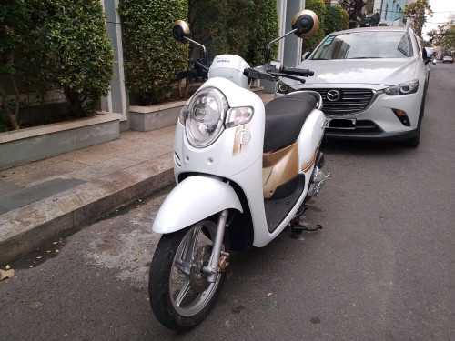 Honda scoopy